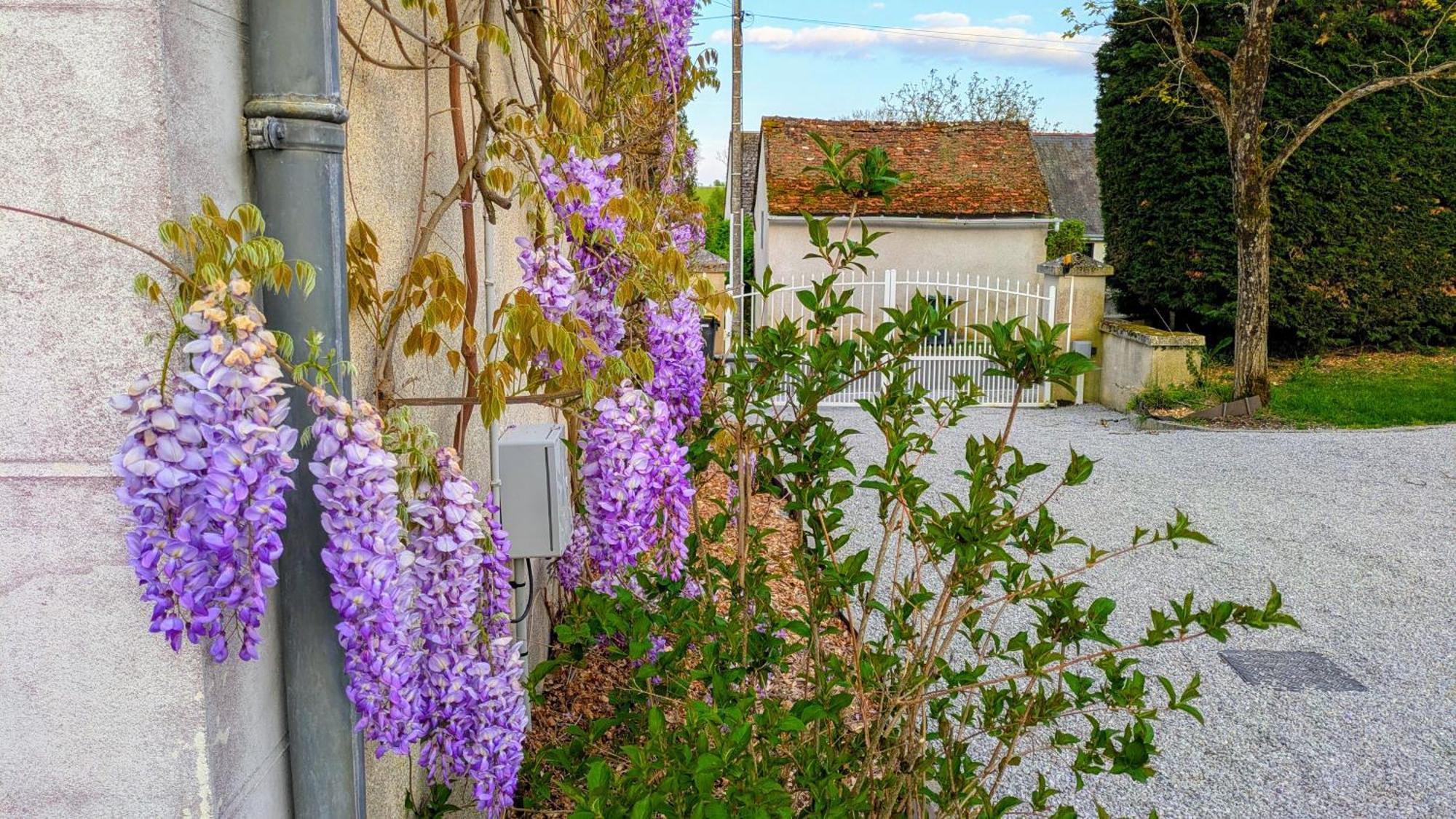 Les 7 Tilleuls - Gite Mesland ภายนอก รูปภาพ